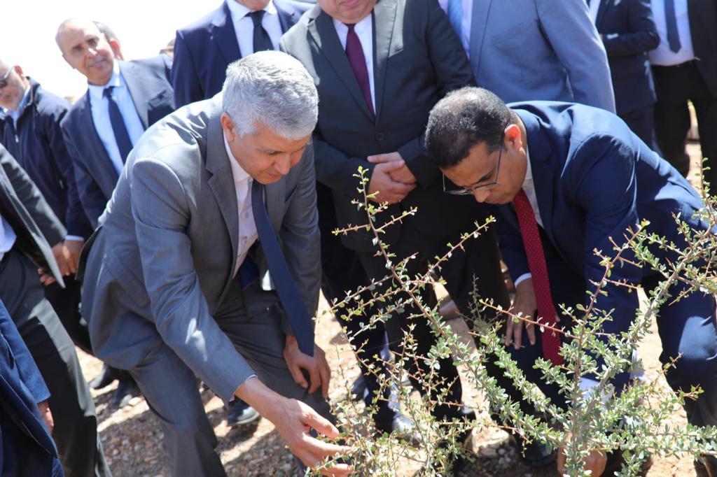 Province d’Essaouira : Sadiki visite plusieurs projets de développement agricole et rural